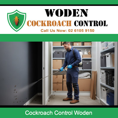 Pest control technician spraying inside storage room and shelving for cockroach treatment in Woden ACT